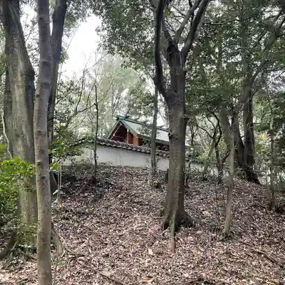 尾張戸神社(瀬戸市・名古屋市守山区)の本殿・本堂