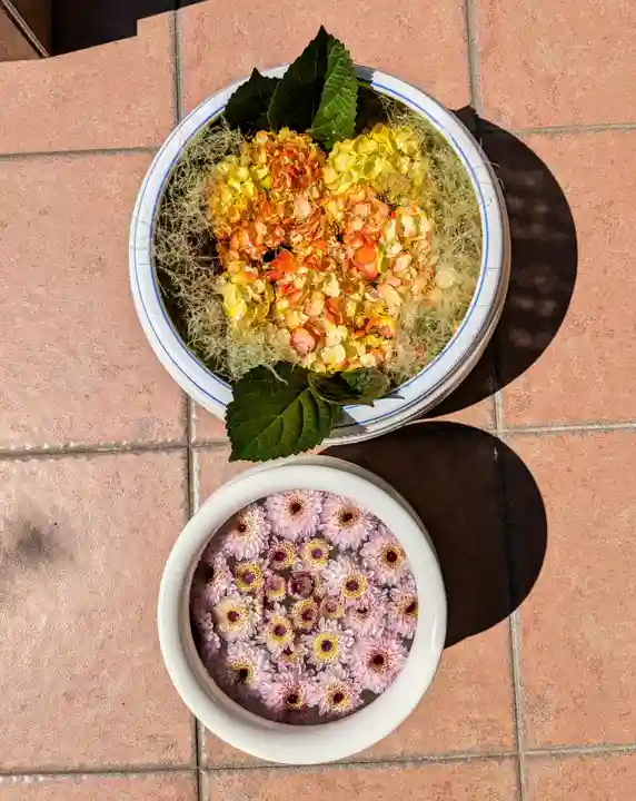 帯広三吉神社の手水舎