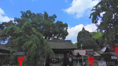 平野神社の山門・神門