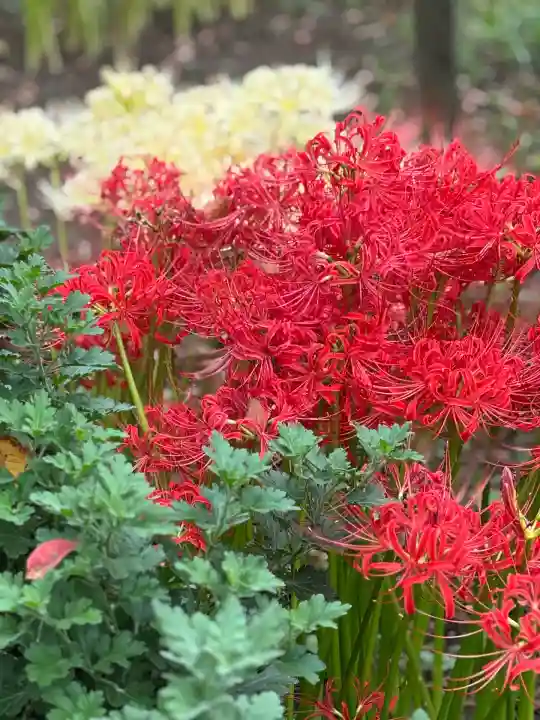 極楽寺(霊鷲山感應院極楽律寺)(神奈川県)