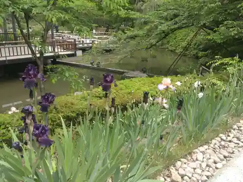 東郷神社の庭園