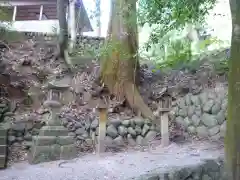 大河内神社の自然