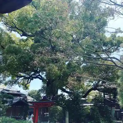 法楽寺(大阪府)