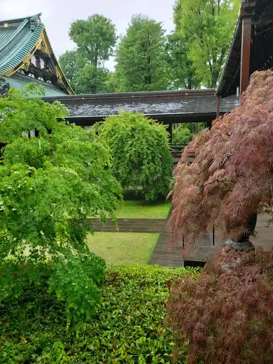 妙法寺(東京都)