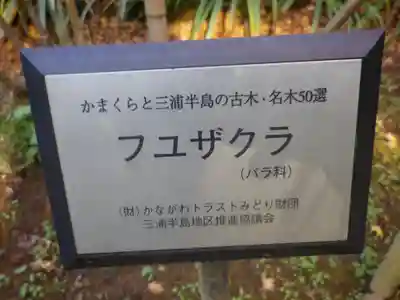 瑞泉寺のその他建物