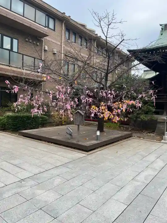 桜神宮(東京都)