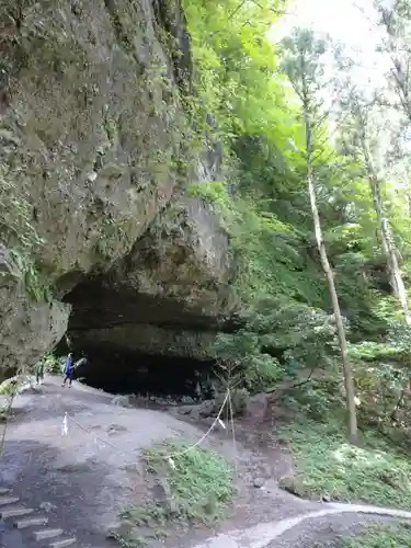 上色見熊野座神社の自然