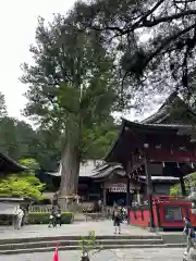 北口本宮冨士浅間神社(山梨県)