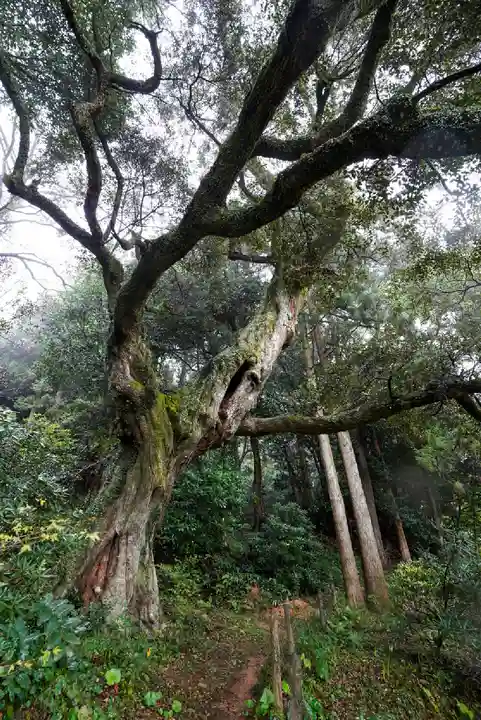 南原寺(山口県)