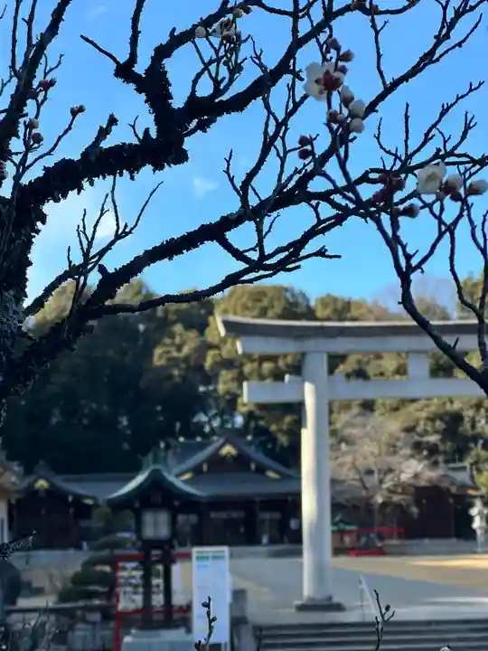 群馬県護国神社(群馬県)