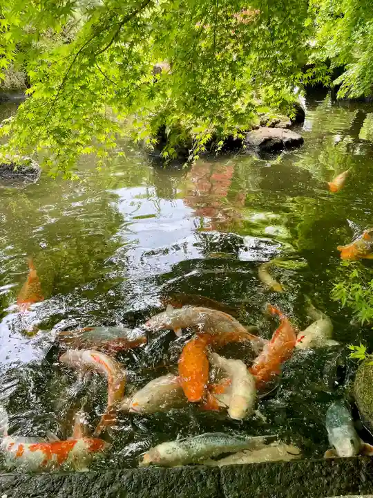 最勝寺(茨城県)