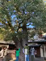 晴明神社(京都府)