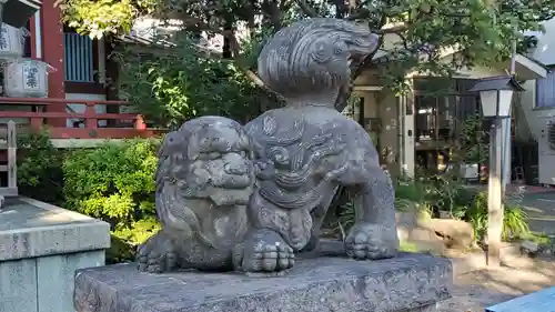千住本氷川神社の狛犬