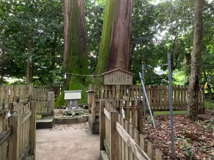 佐那神社の自然