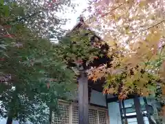 法華寺の自然