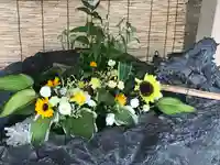 厚別神社の手水舎