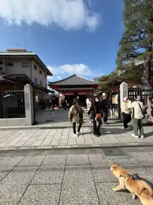 六波羅蜜寺の{uncategorized: "未分類", other: "その他", undefined: "問題あり", building: "その他建物", grave: "お墓", sacred_gate: "鳥居", guardian: "狛犬", statue: "像", buddha: "仏像", history: "歴史", nature: "自然", garden: "庭園", animal: "動物", pagoda: "塔", temizu: "手水舎", mountain_gate: "山門・神門", sanctuary: "本殿・本堂", subordinate: "末社・摂社", art: "芸術", scenery: "景色", jizo: "地蔵", ema: "絵馬", goshuin: "御朱印", omikuji: "おみくじ", items: "授与品その他", amulet: "お守り", goshuincho: "御朱印帳", eats: "食事", festival: "お祭り", votive_dance: "神楽", shichigosan: "七五三参", wedding: "結婚式", experience: "体験その他", initially: "初詣", around: "周辺", anti_infection: "感染症対策"}