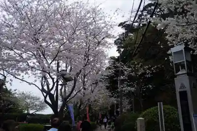 江島神社(神奈川県)