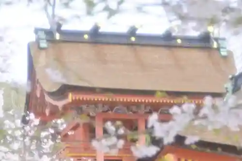 富士山本宮浅間大社(静岡県)