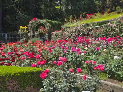 霊山寺(奈良県)