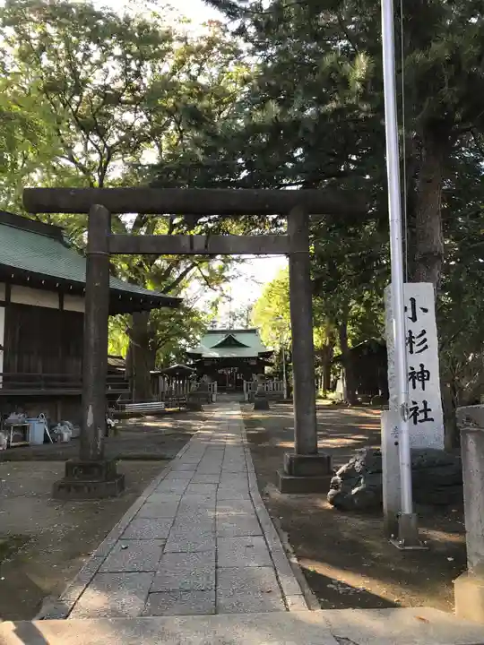 小杉神社の鳥居
