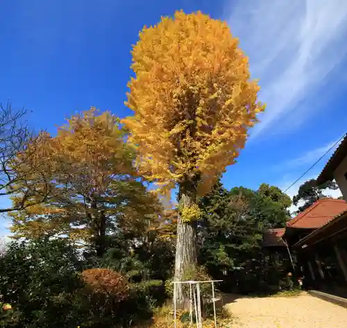 岩屋寺の景色