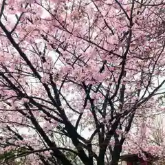 彌彦神社　(伊夜日子神社)(北海道)