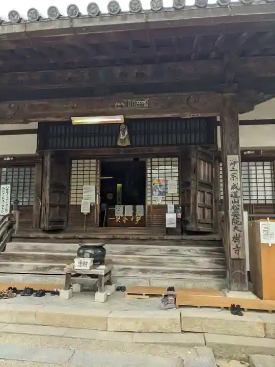 大樹寺(松安院大樹寺)の本殿・本堂