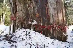 磐椅神社の自然