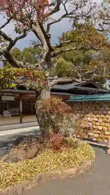 (山田)伊射奈岐神社(大阪府)