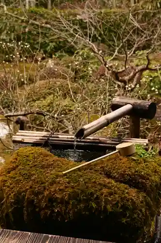 宝泉院(京都府)
