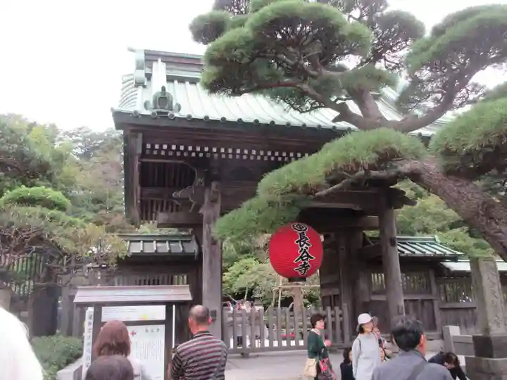 長谷寺の山門・神門