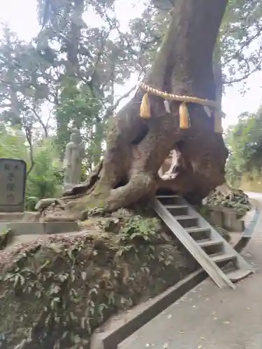 笠森寺(千葉県)