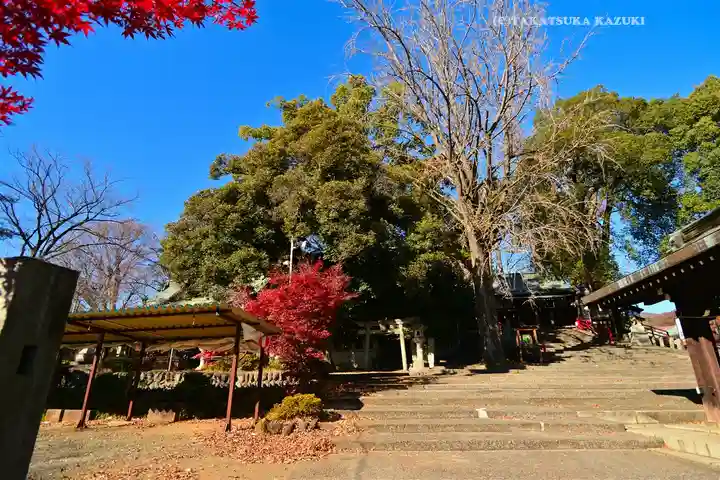 美和神社(群馬県)