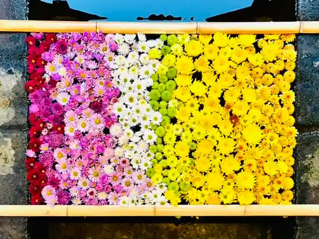 土津神社|こどもと出世の神さまの手水舎