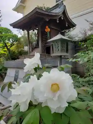 禅定院(東京都)
