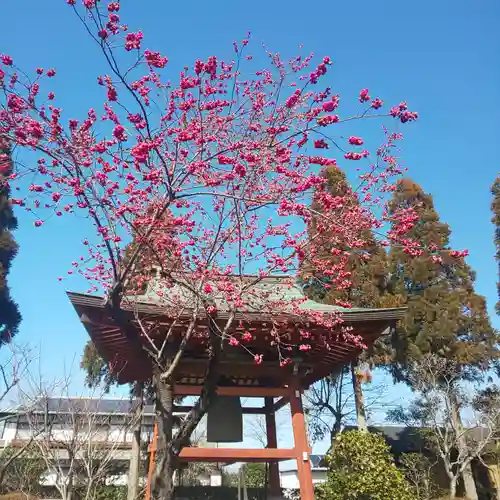 善導寺のその他建物
