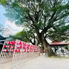 現人神社(福岡県)