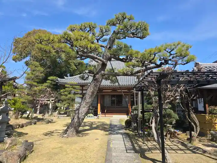 光林寺(大阪府)