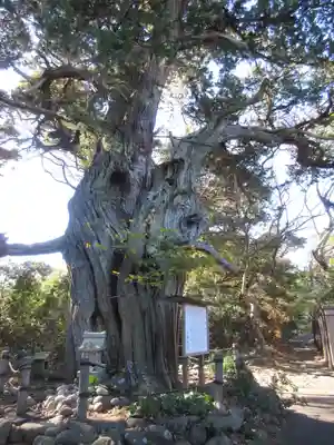 大瀬神社のその他建物