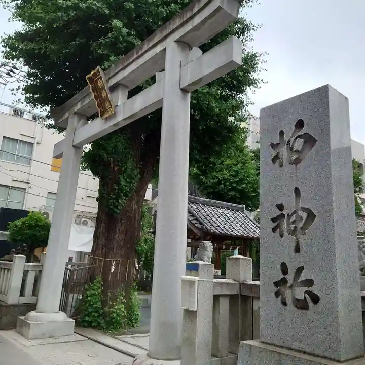 柏神社の御朱印