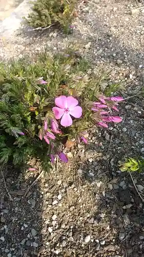 比佐豆知神社(三重県)