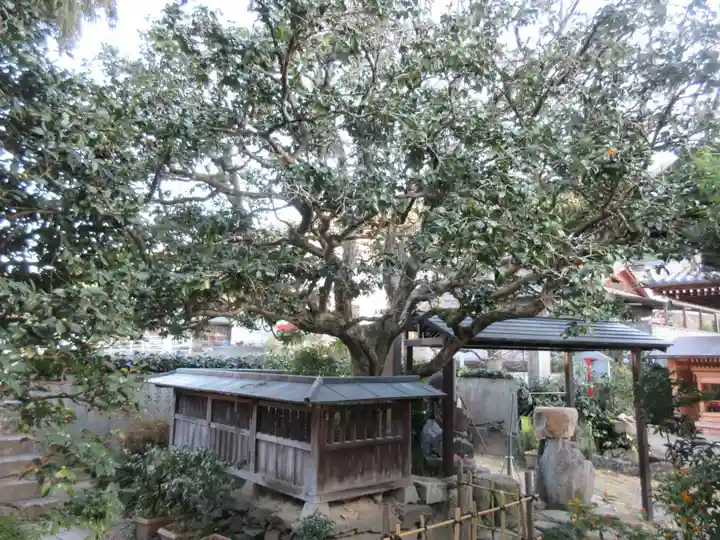 常福寺(椿堂)(愛媛県)