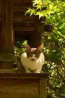 城上神社(島根県)