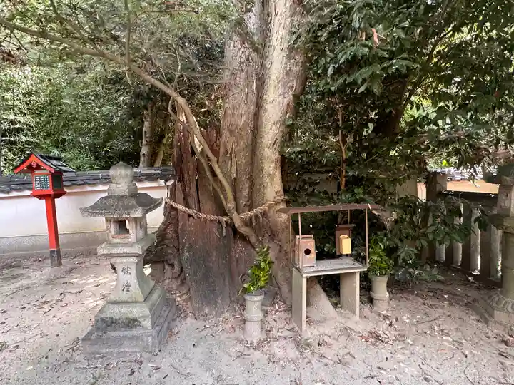 白坂神社(奈良県)