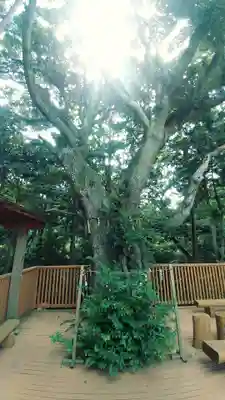 神明神社（相差町）(三重県)