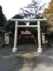 亀岡八幡宮の鳥居