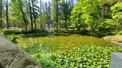 出羽神社(出羽三山神社)～三神合祭殿～の自然