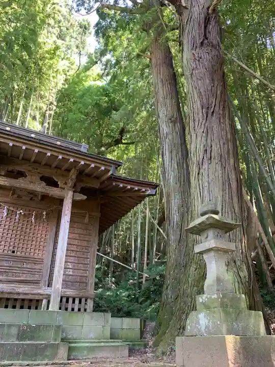 星宮大神(千葉県)