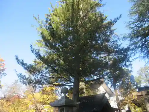 松岬神社(山形県)